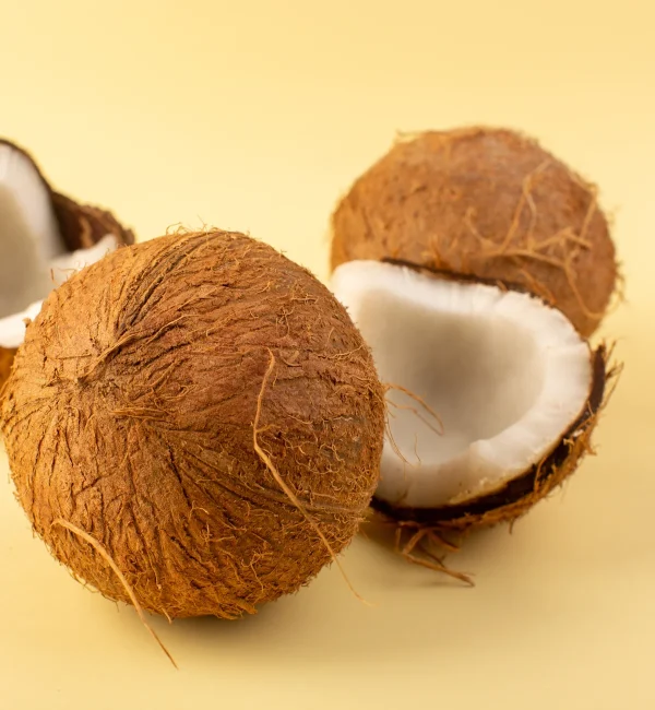 Dry Coconuts