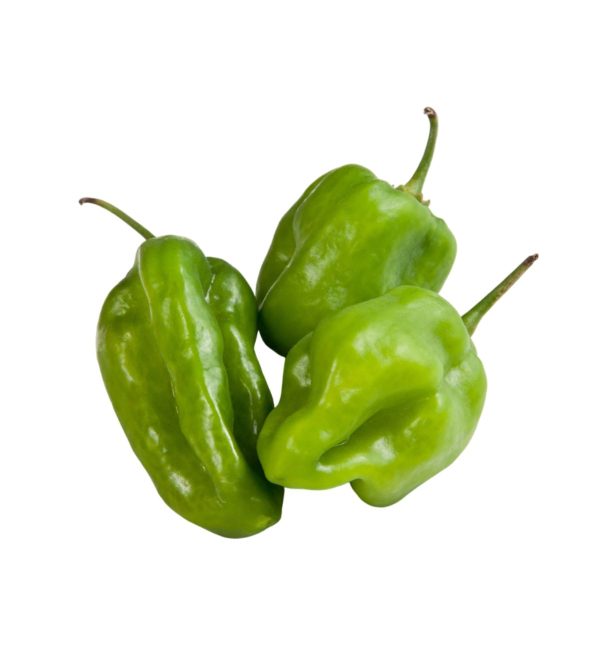 Green Habanero