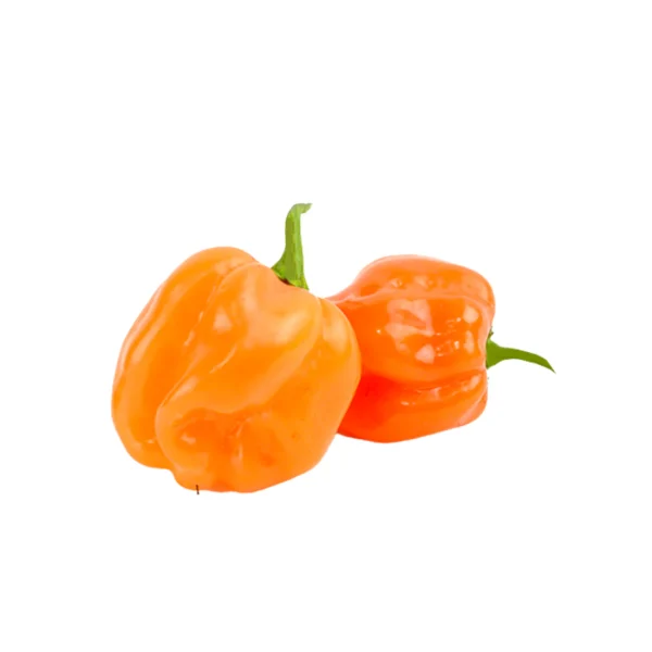 Orange Habanero